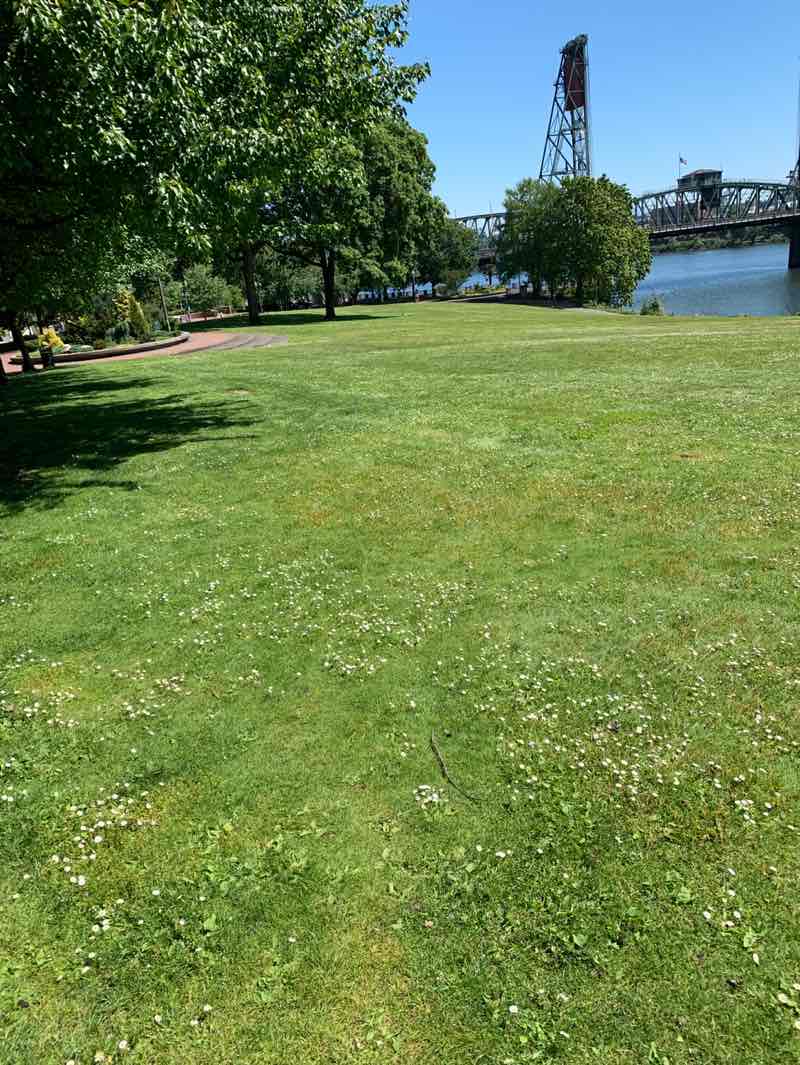 walking near me in Governor Tom McCall Waterfront Park in summer