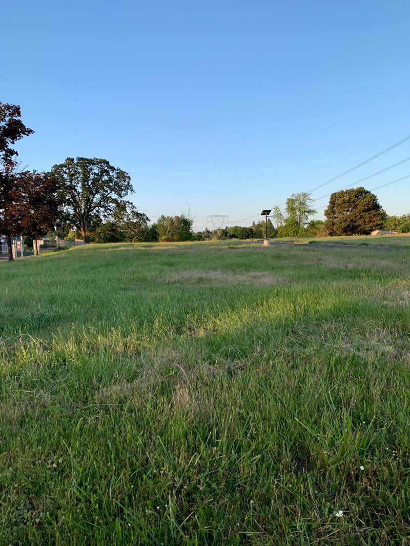 walking near me in Trachsel Meadows Park in summer