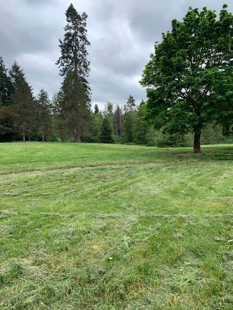 walking near me in Willow Creek Park in spring