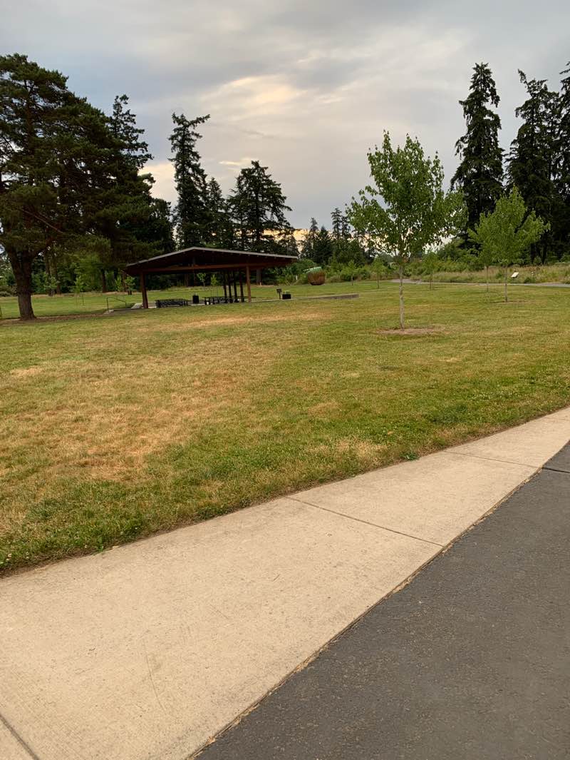 walking near me in Orenco Woods Nature Park in summer