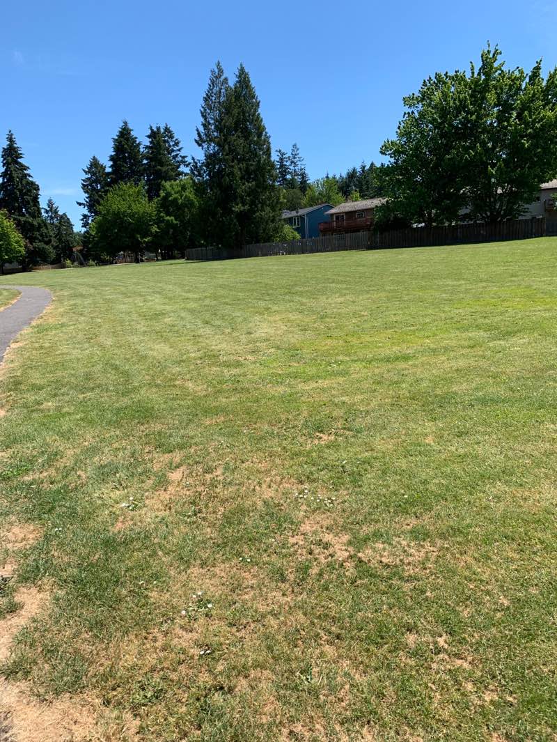 walking near me in Burnsridge Park in summer