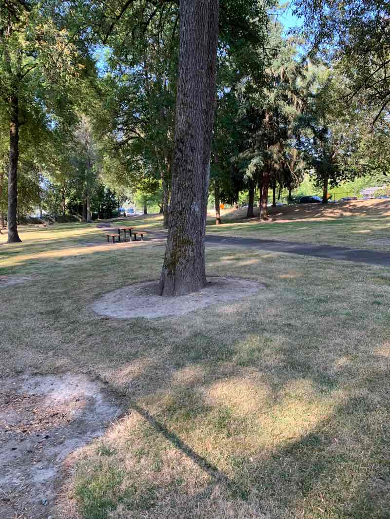 walking near me in Wanda L. Peck Memorial Park in summer