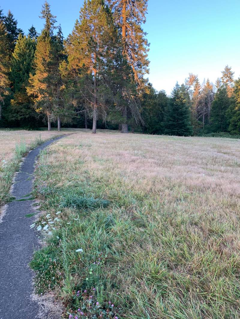 walking near me in Willow Creek Park in summer