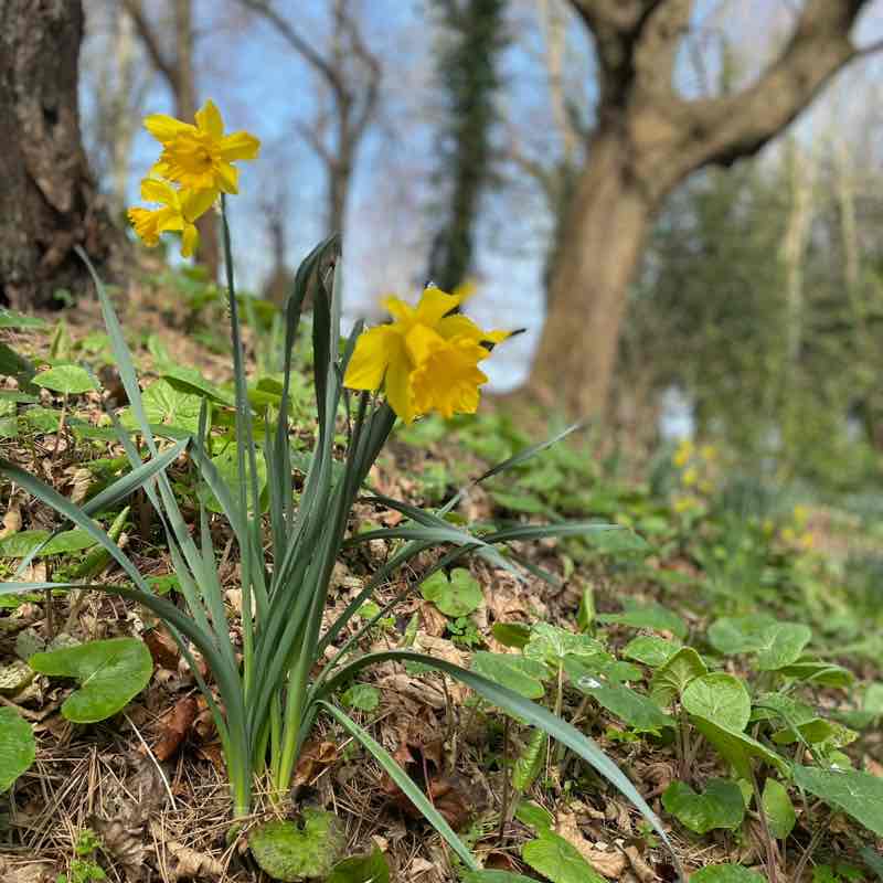 Scottish Walkers Scott 🏴󠁧󠁢󠁳󠁣󠁴󠁿 post image