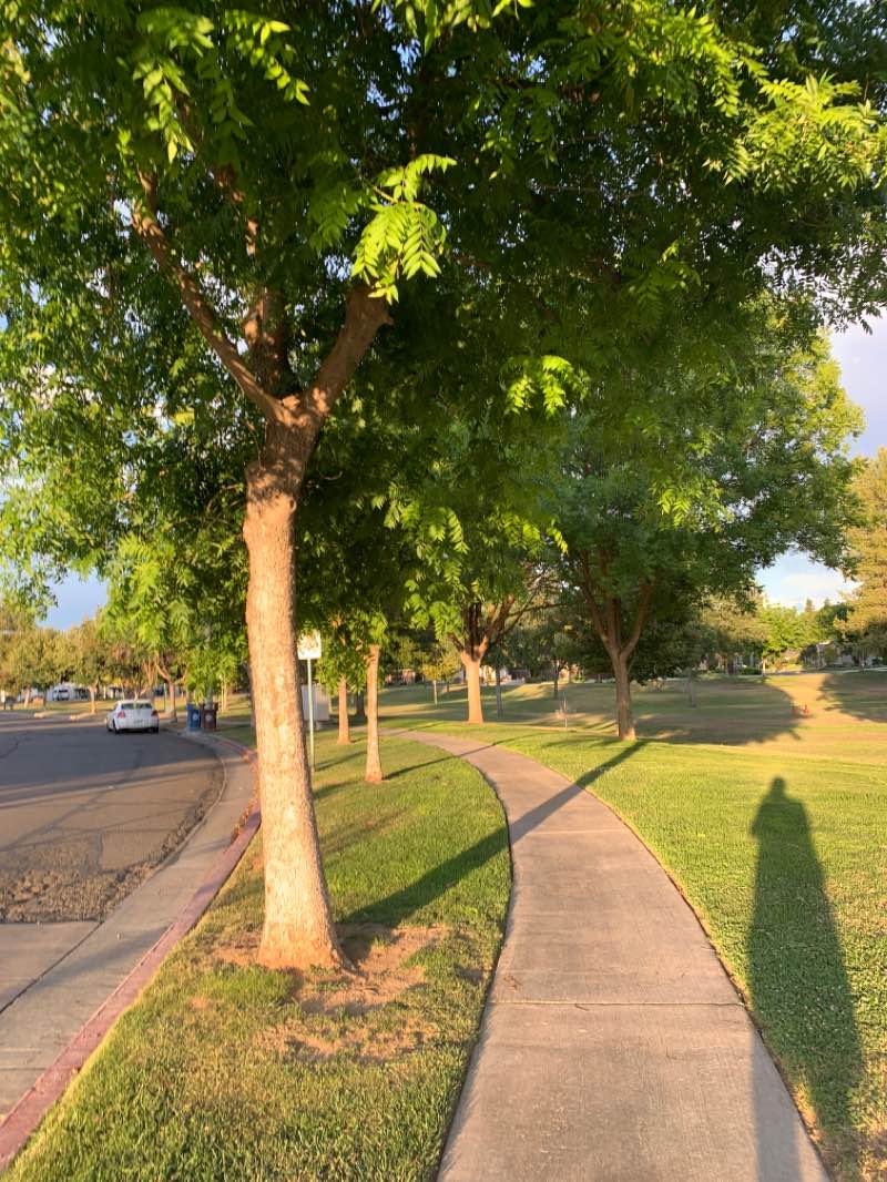 walking near me in Unger Park in winter