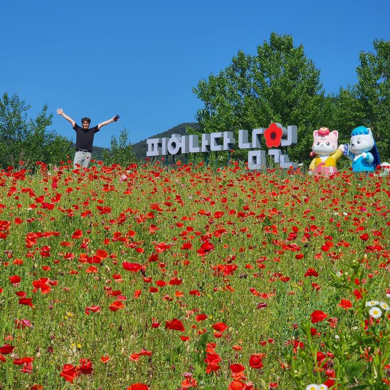 Suwon Ko