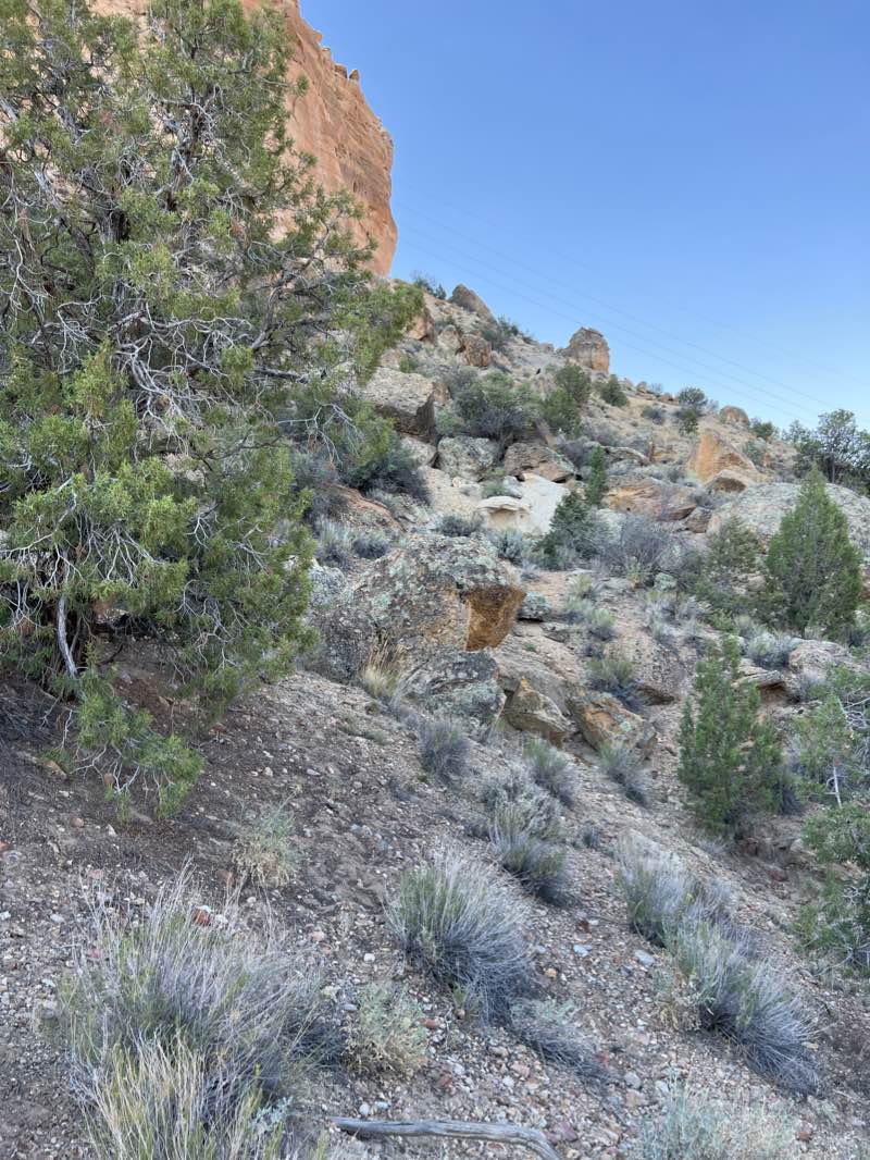 walking near me in Glade Run Recreation Area in winter