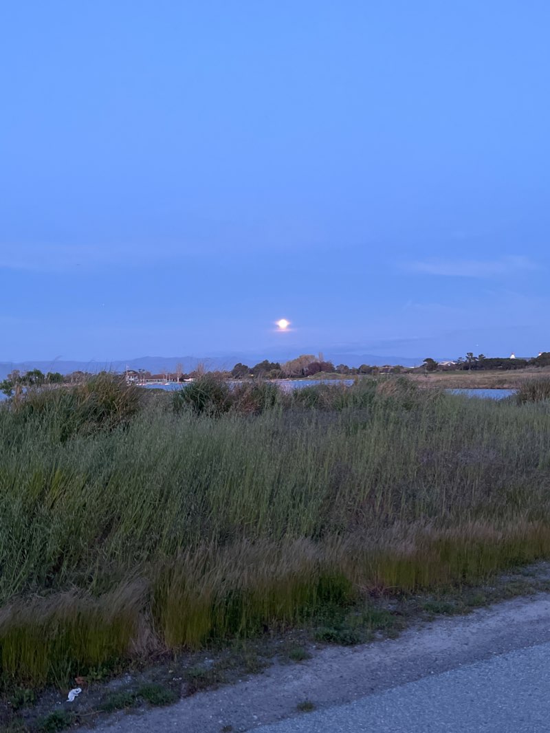 walking near me in Vista Slope in winter