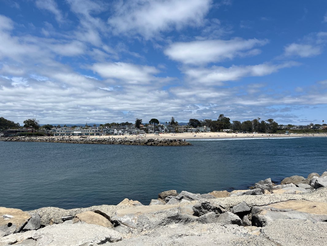 walking near me in Depot Park in winter