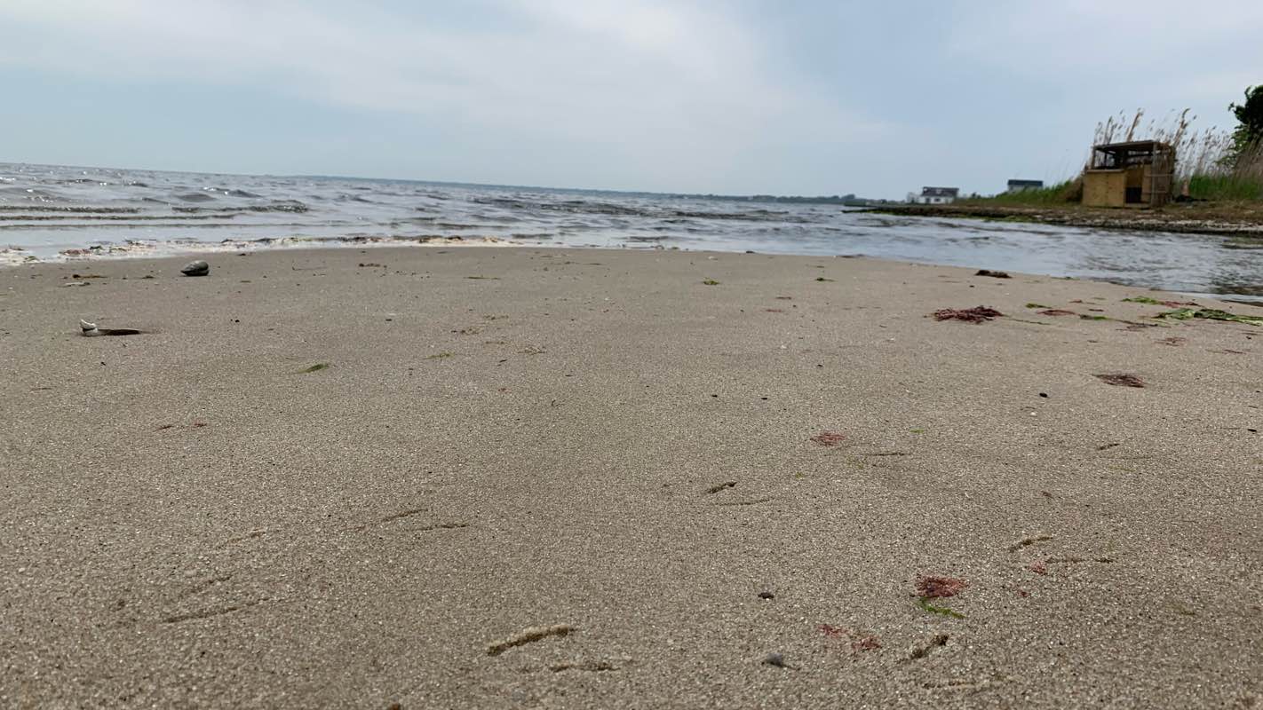 walking near me in Lymans Marsh State Tidal Wetland in winter