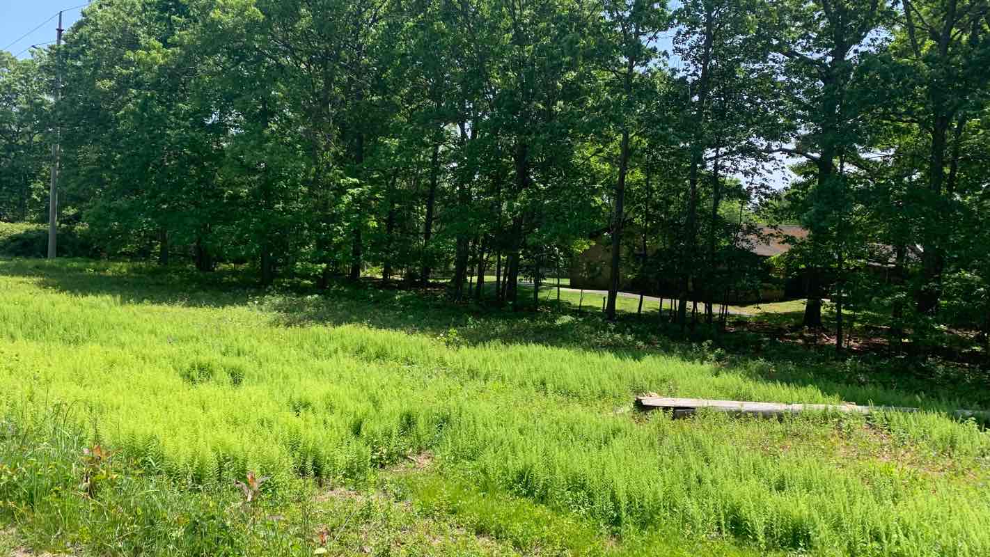 walking near me in North Shore Rail Trail in winter