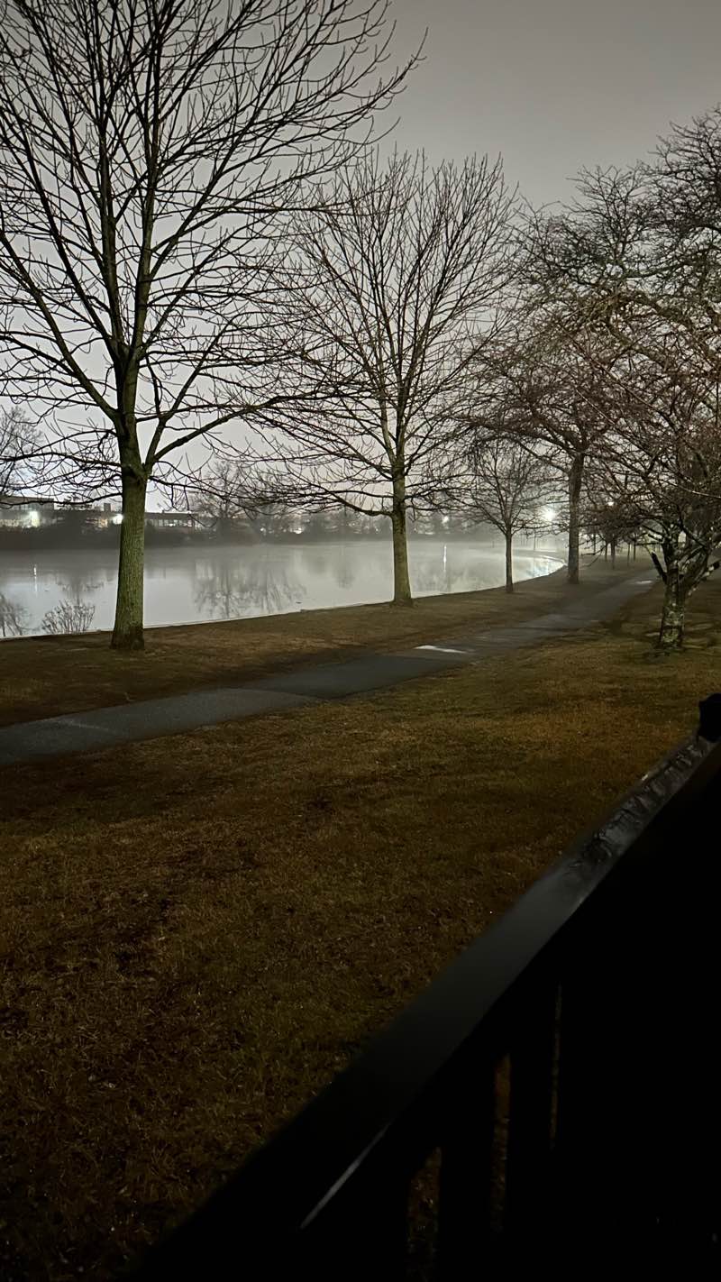 walking near me in Caman's Pond Park in winter