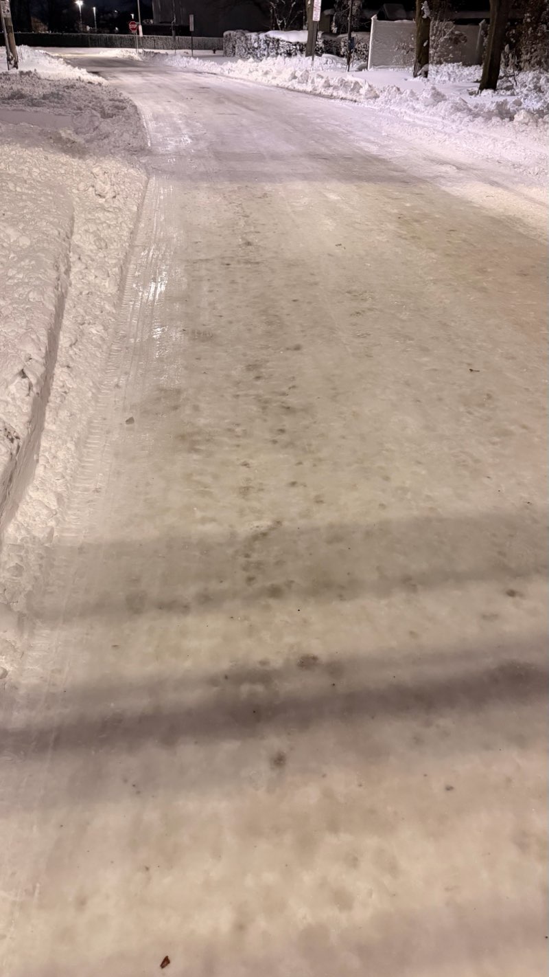 walking near me in Julian Lane Park in winter