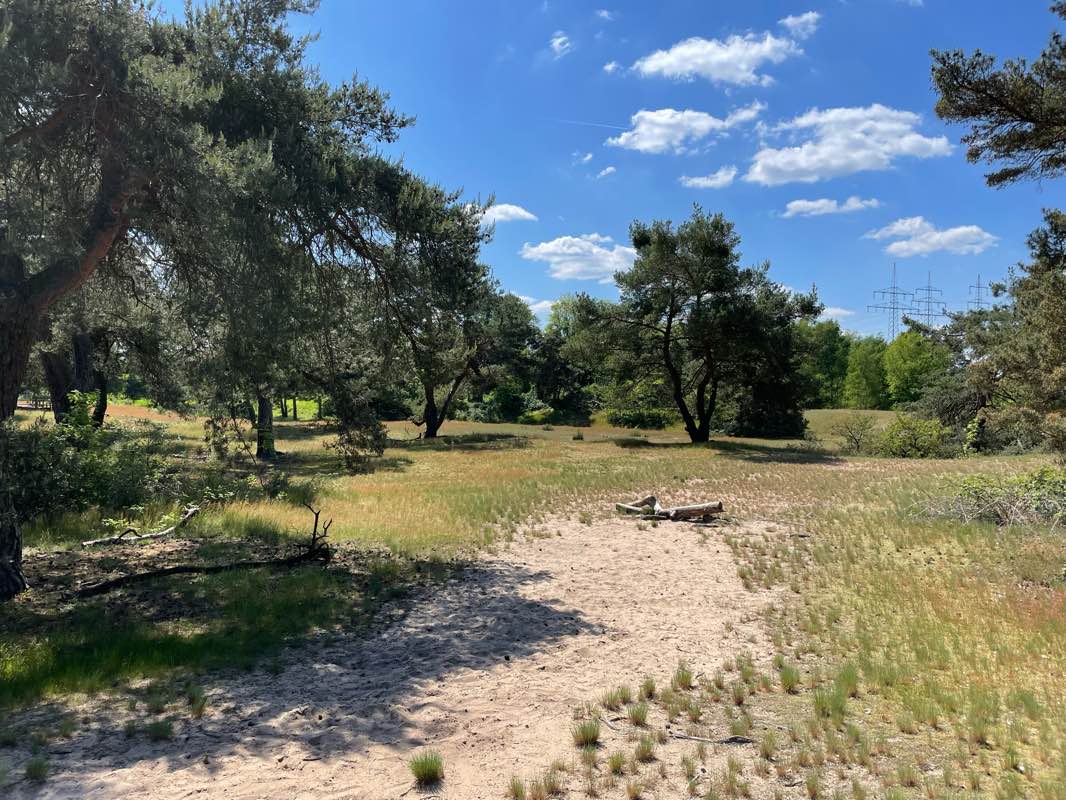 walking near me in Wörthspitze in winter