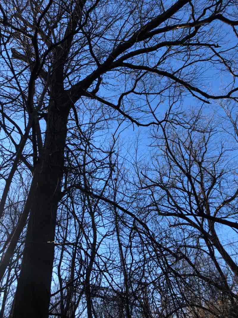 walking near me in Byram Park in winter
