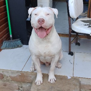 Artur Gauterio profile