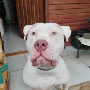 Artur Gauterio profile