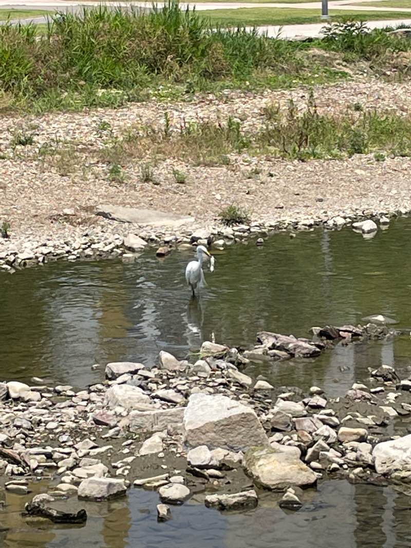 walking near me in 구암 공원 in winter