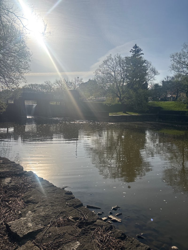 walking near me in Lakeside Drive Parkland in spring