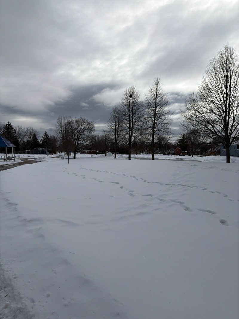 walking near me in Connaught Park in winter
