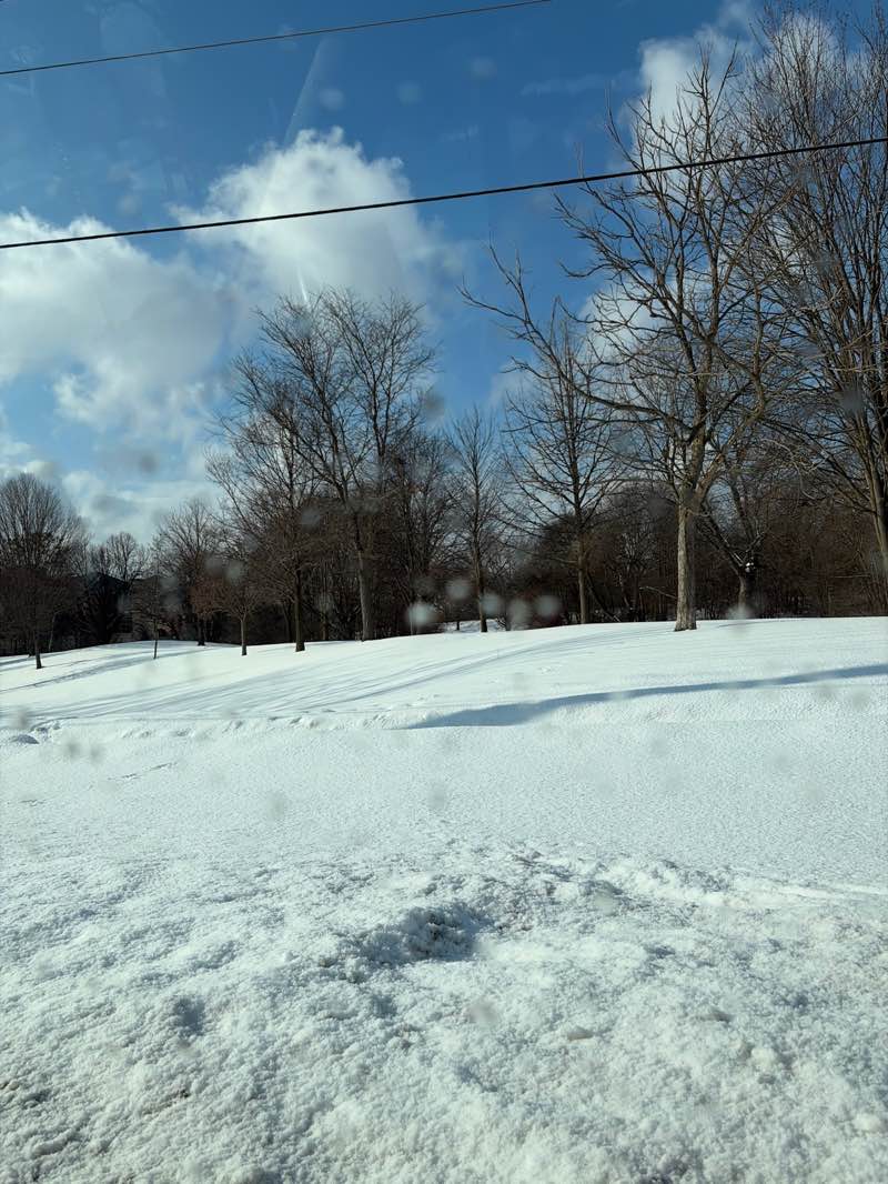 walking near me in Centennial Park in winter