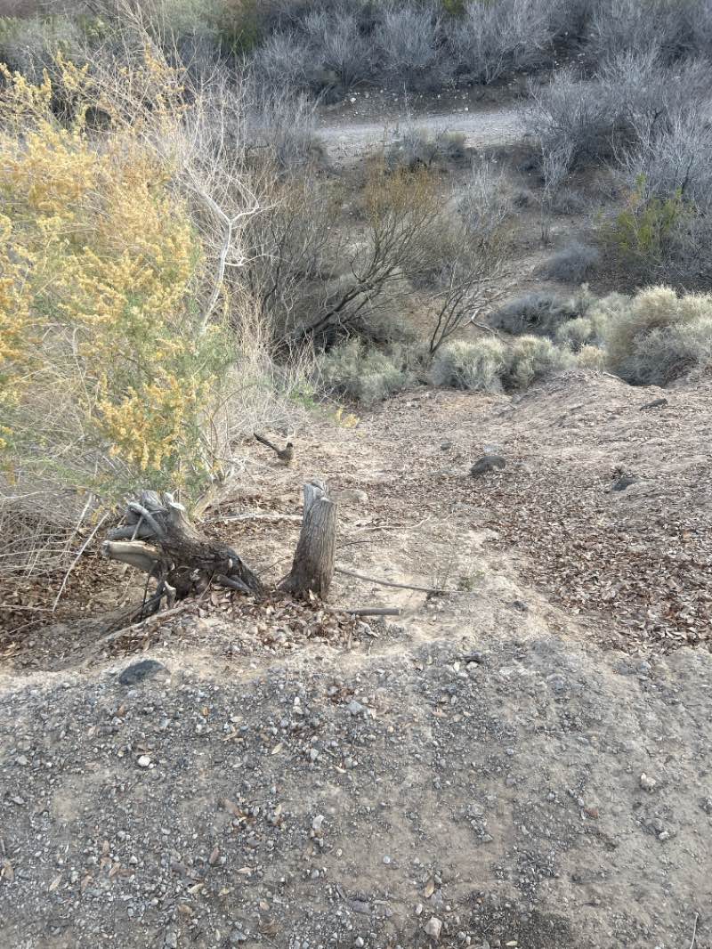 walking near me in Arroyo Grande Sports Complex in winter