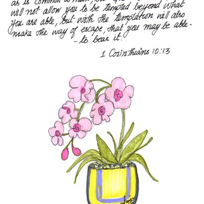 The Prayer Walk Group ✝️ CJ post image