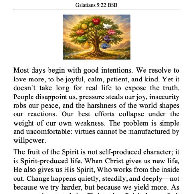 The Prayer Walk Group ✝️ CJ post image