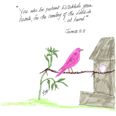 The Prayer Walk Group ✝️ CJ post image