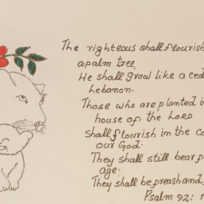 The Prayer Walk Group ✝️ CJ post image