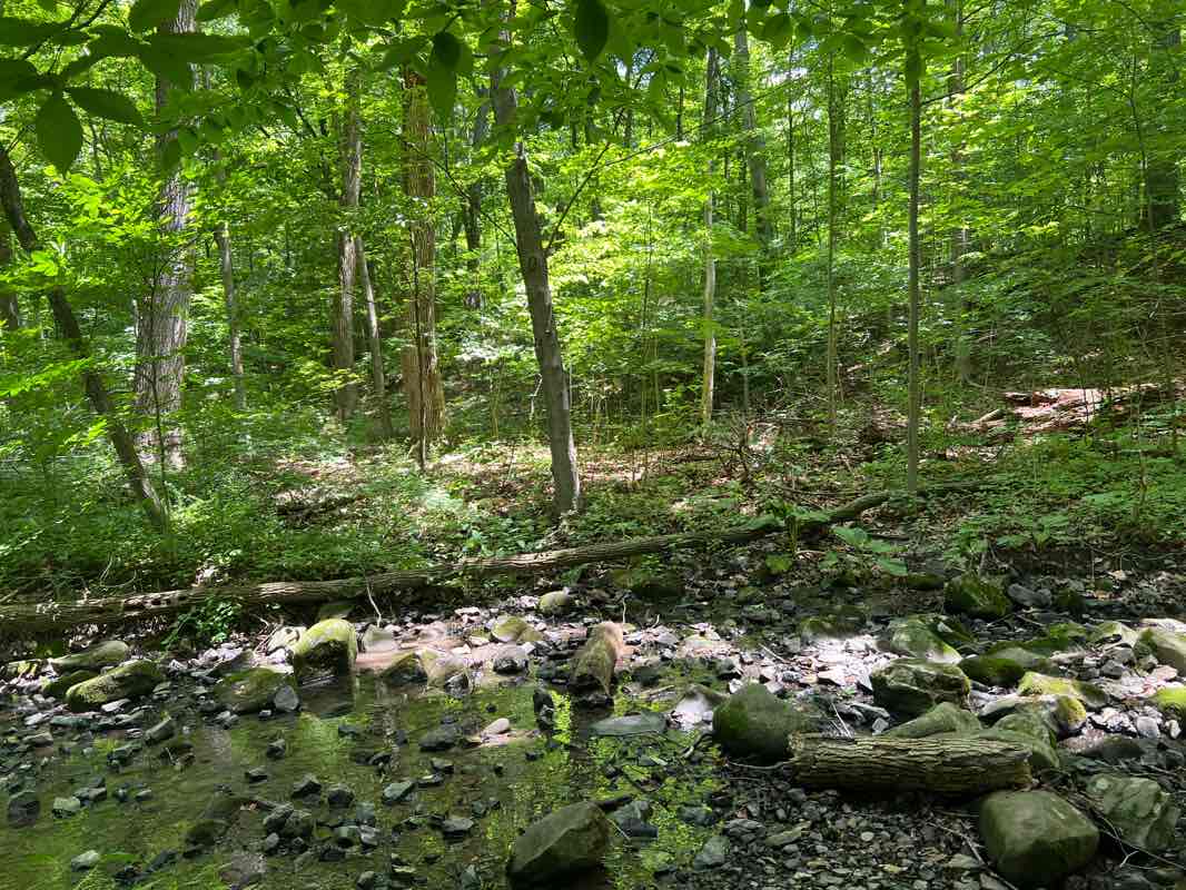 walking near me in Monocacy Hill Recreation Area in winter