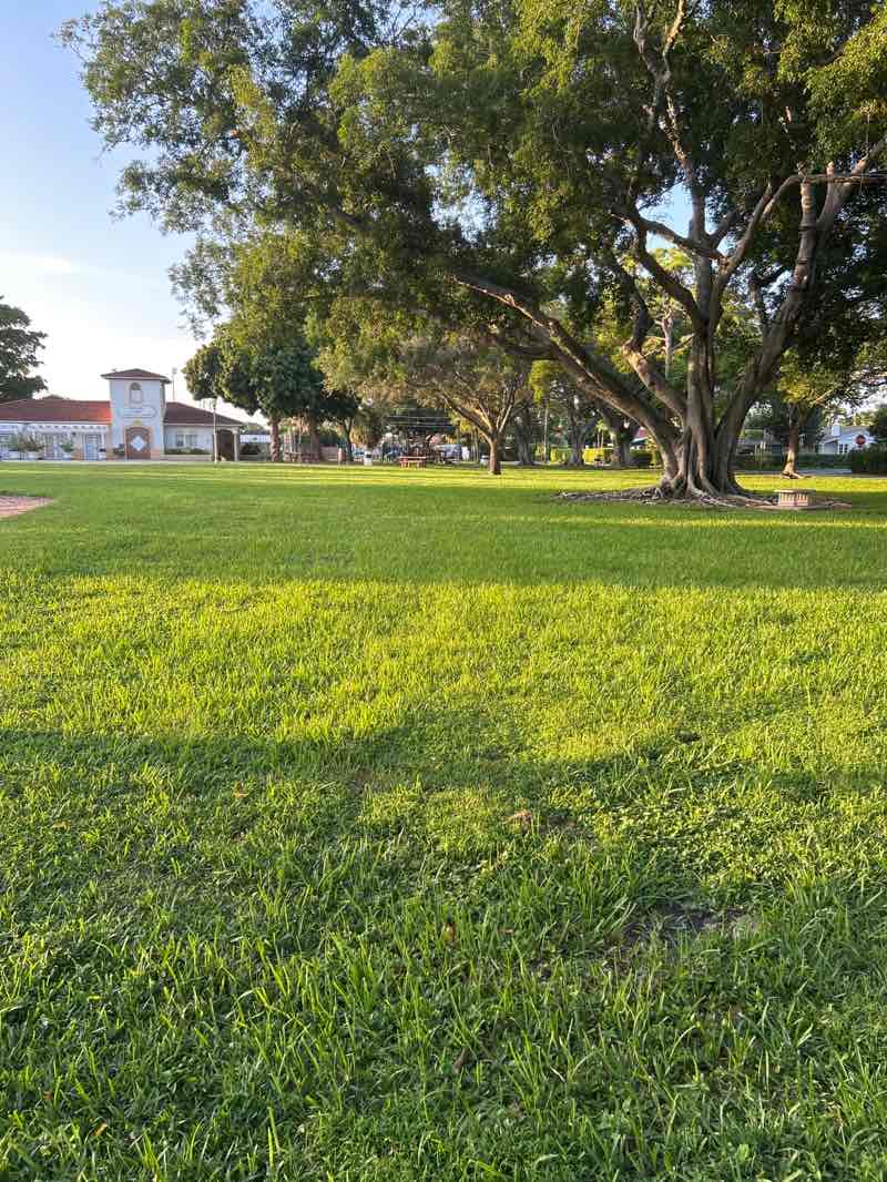 walking near me in Dreher Park North in autumn
