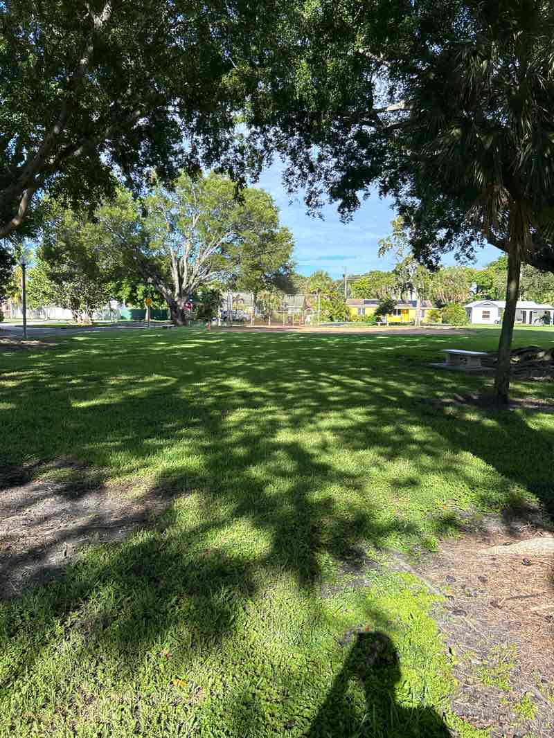 walking near me in Vedado Park in autumn