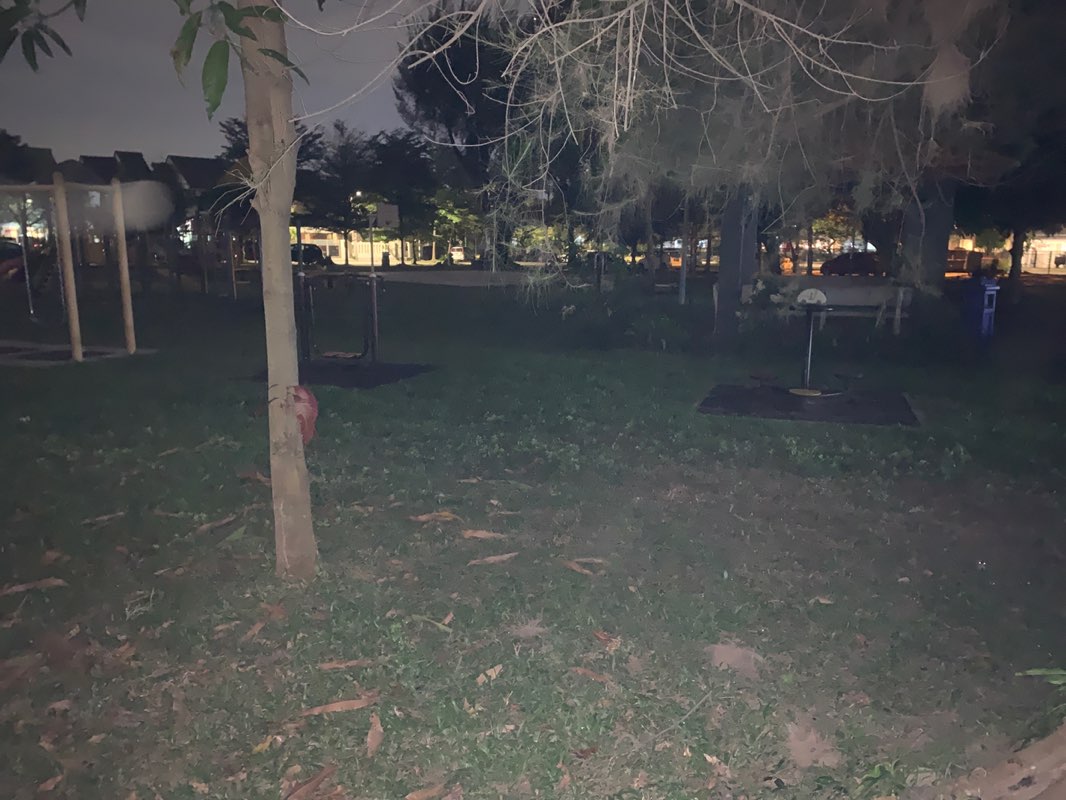 walking near me in Residential Park in autumn