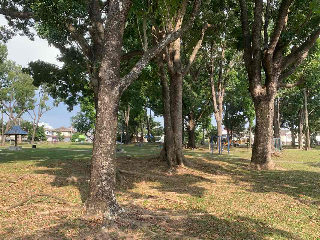 walking near me in USJ6 Recreation Park in winter