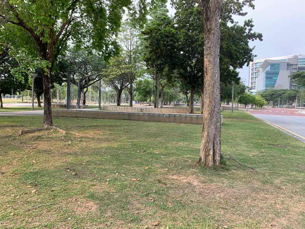 walking near me in Dataran Rakyat in spring