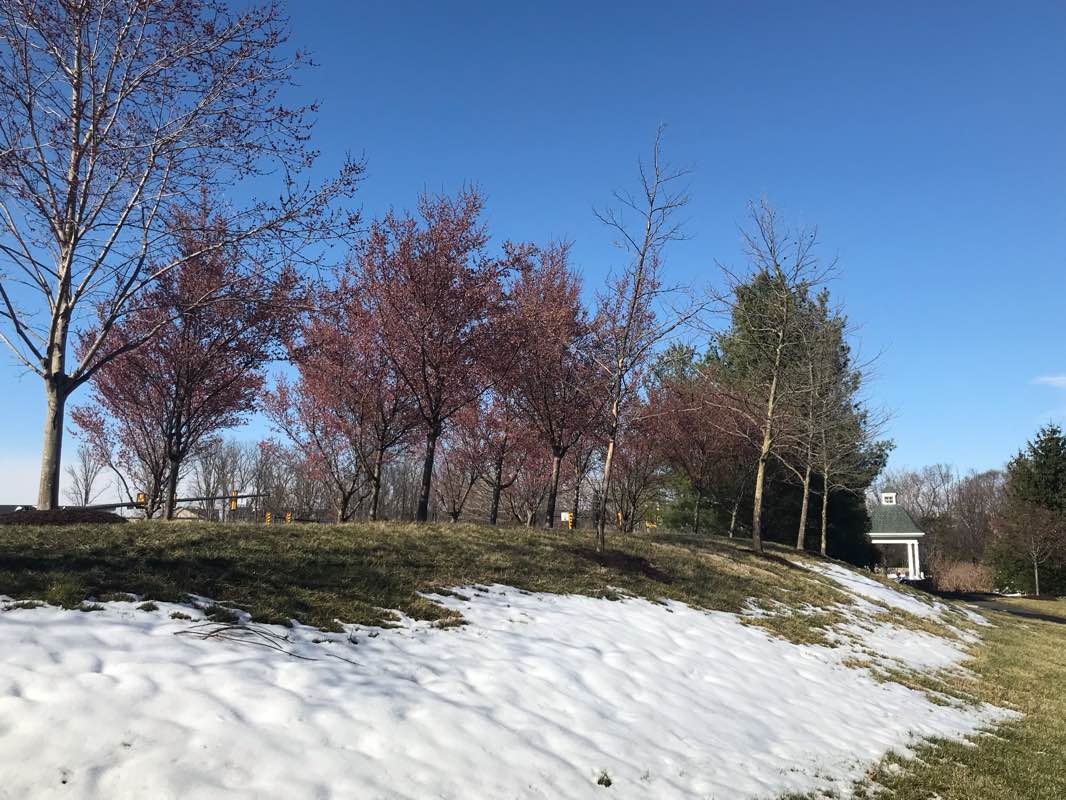 walking near me in Lyndora Park in winter