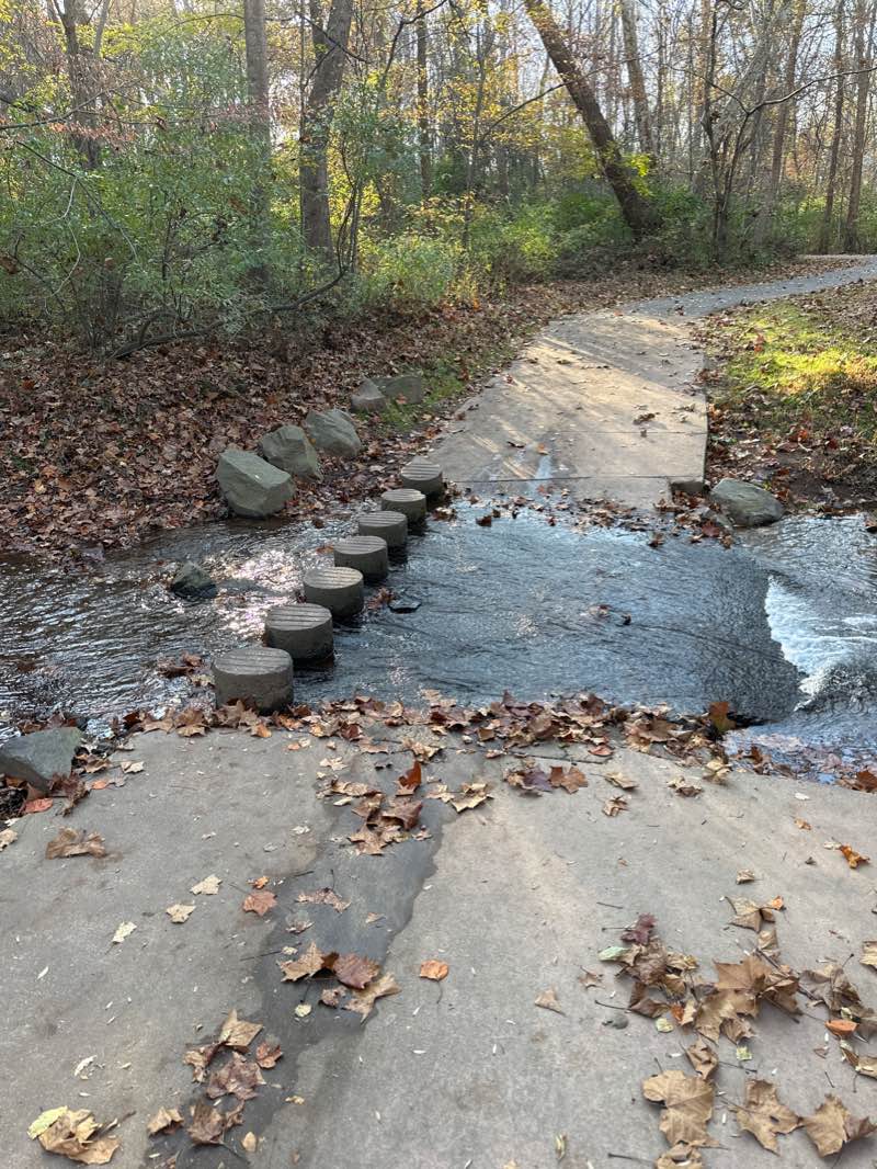 walking near me in Folly Lick Stream Valley Park in winter