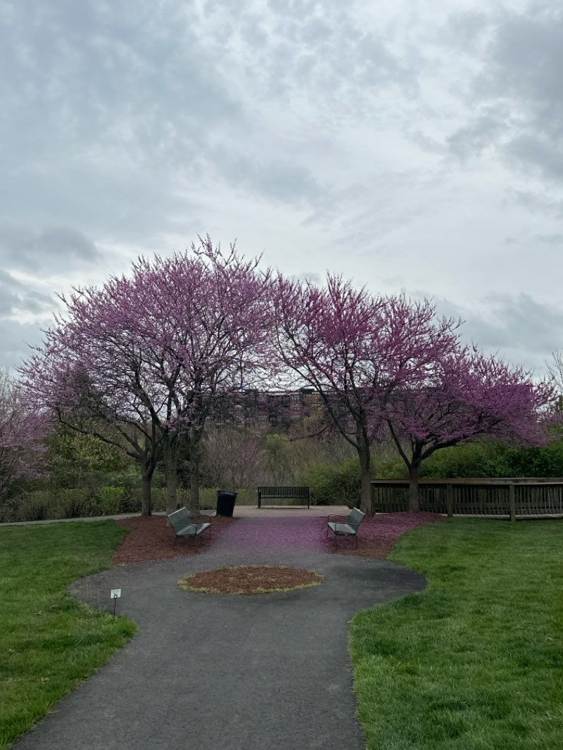 walking near me in Broadlands Nature Center in winter
