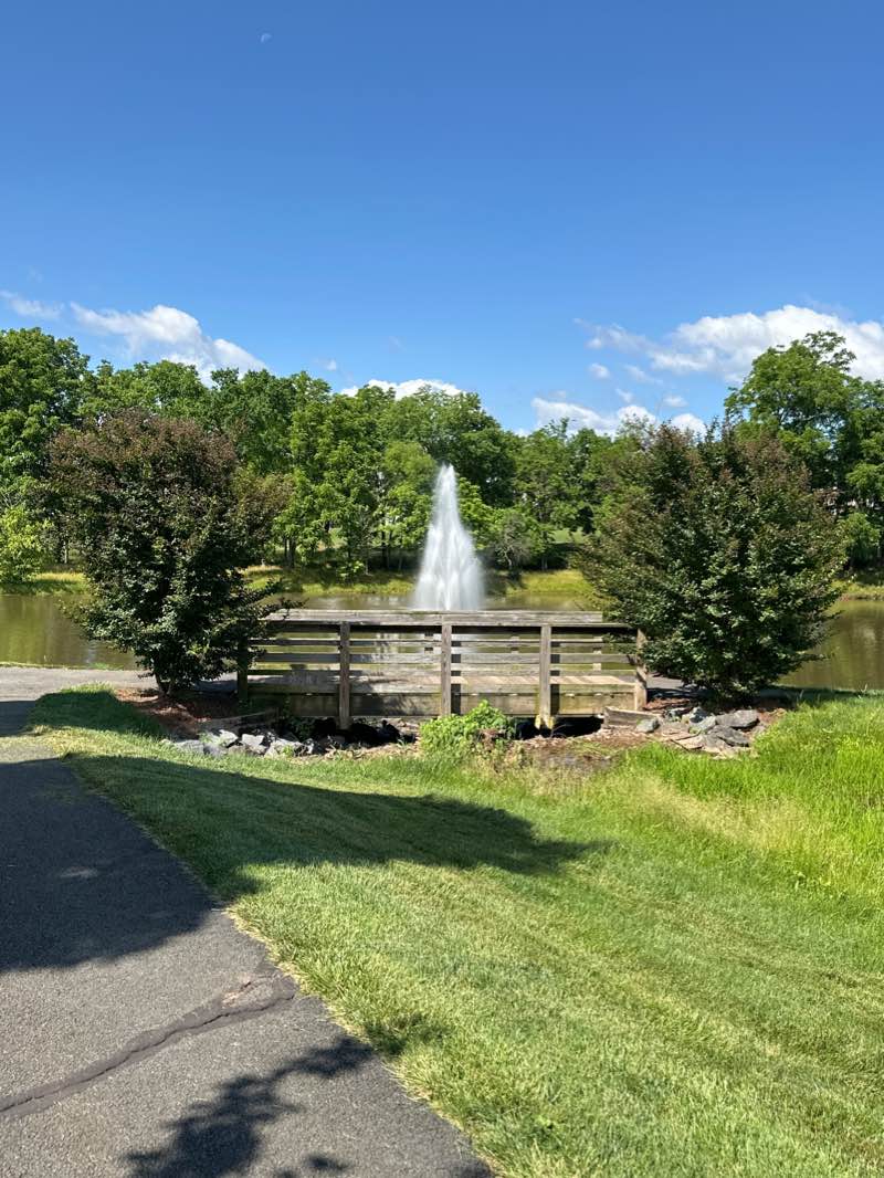 walking near me in Moorefield Station Community Park in winter