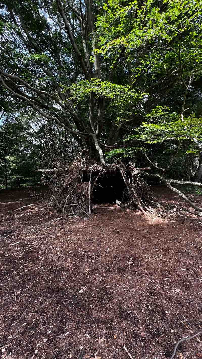 walking near me in Bell Common in winter
