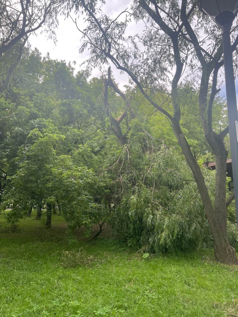 walking near me in Этнографическая деревня «Бибирево» in winter