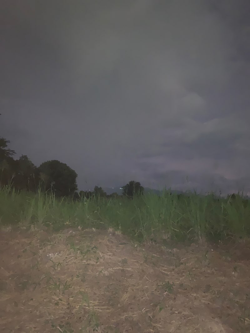 walking near me in Hughenden Community Centre in autumn