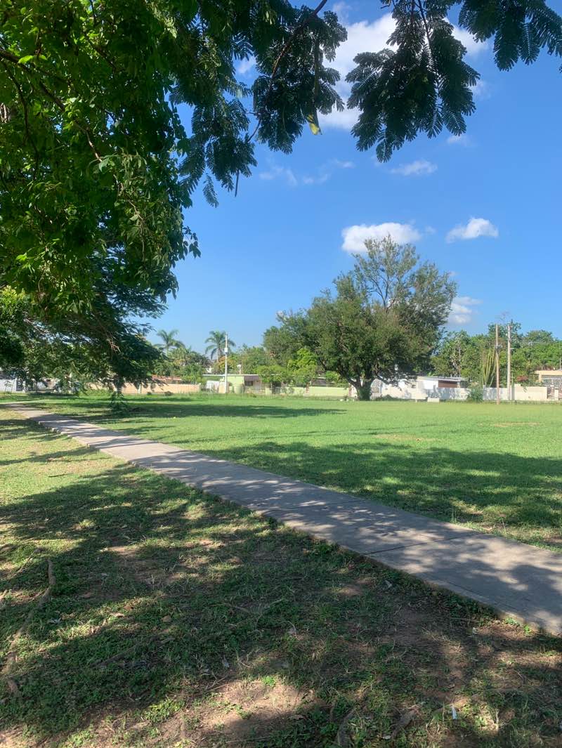 walking near me in Hope Pastures Community Park in winter
