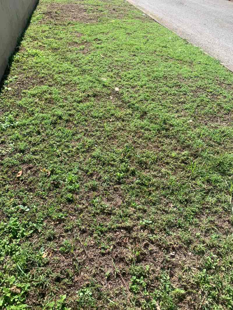 walking near me in Football/ netballfield in winter