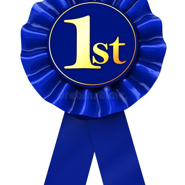 RAINY DAY WALKS Kelly post image