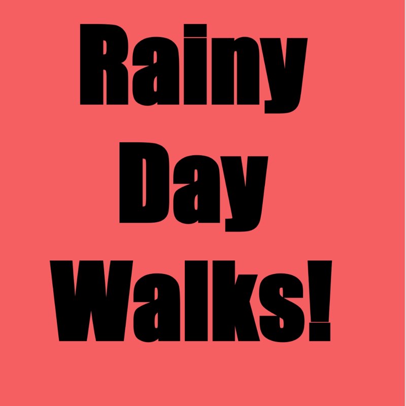 RAINY DAY WALKS Kelly post image