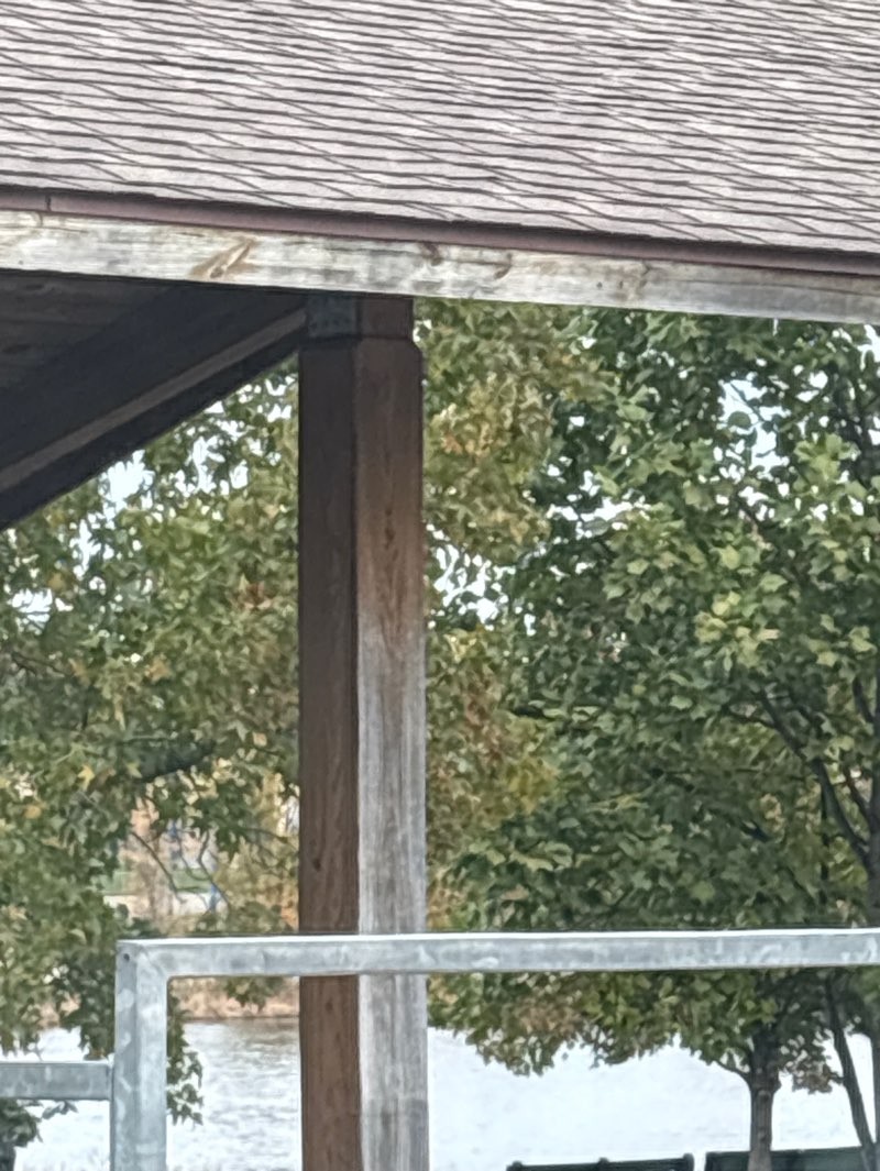 walking near me in Pheasant Hills Park in autumn