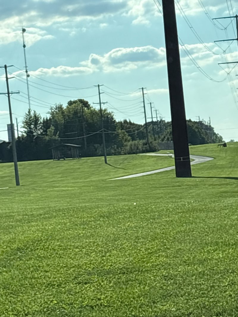walking near me in Homestead Village Park in autumn