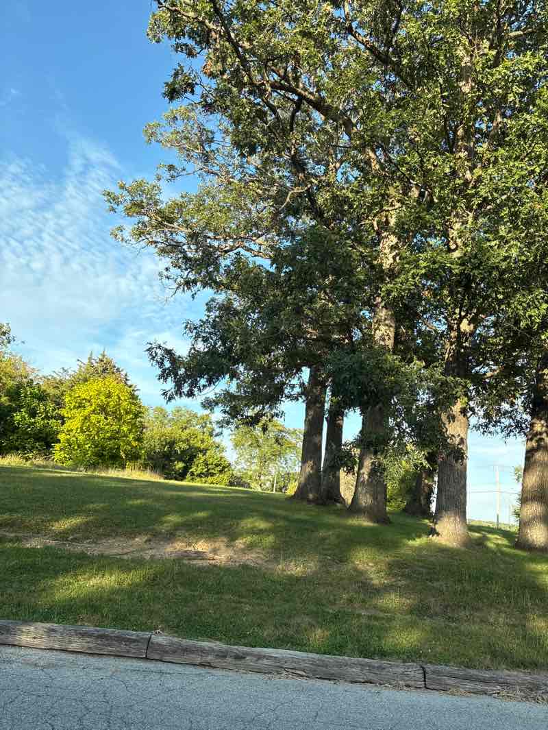 walking near me in Potawatomi Park in autumn